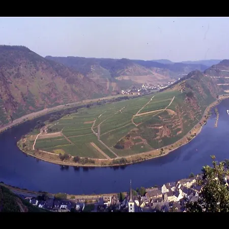 Weingut Gutsschanke Rademacher Cochem