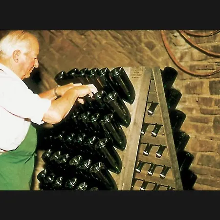 Konukevi Weingut Gutsschanke Rademacher *